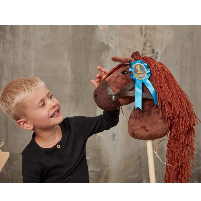 Boy With Brown Hobby Horse