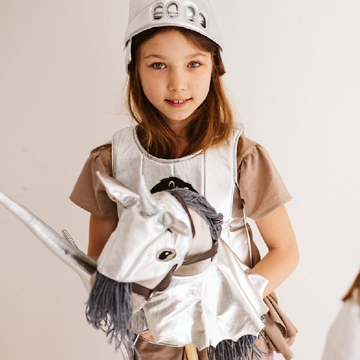 Girl dressed in armor with hobby horse